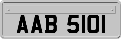 AAB5101