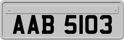 AAB5103