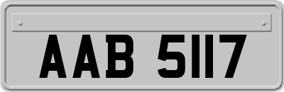 AAB5117