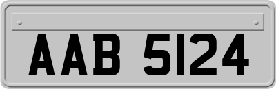 AAB5124