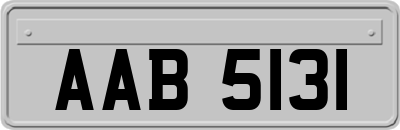 AAB5131