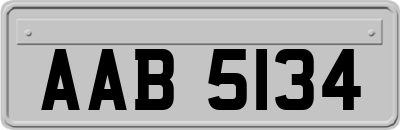 AAB5134