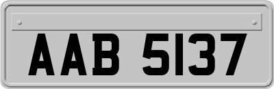 AAB5137