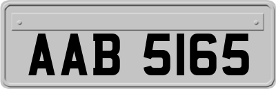 AAB5165