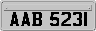 AAB5231