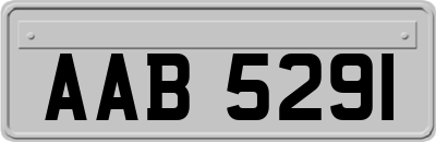 AAB5291