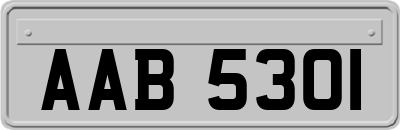 AAB5301