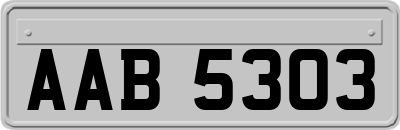 AAB5303