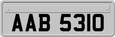 AAB5310