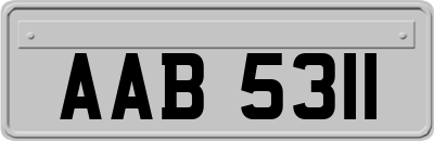 AAB5311