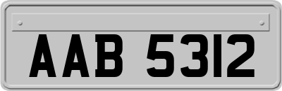 AAB5312