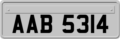 AAB5314