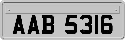 AAB5316