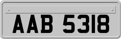 AAB5318