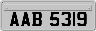 AAB5319