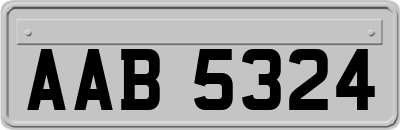 AAB5324