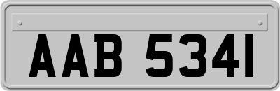 AAB5341