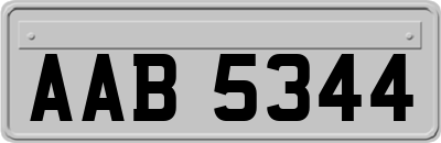 AAB5344