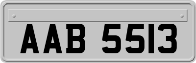 AAB5513