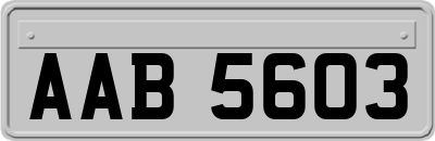 AAB5603