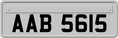 AAB5615