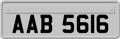 AAB5616