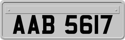 AAB5617