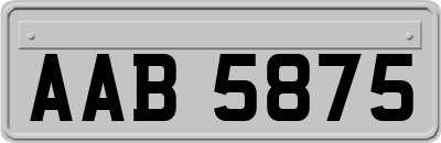 AAB5875