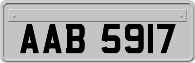 AAB5917