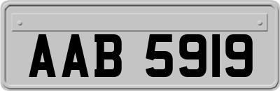 AAB5919