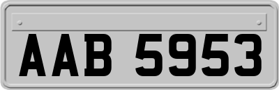 AAB5953