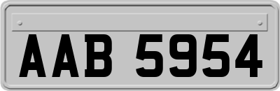 AAB5954