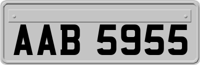 AAB5955