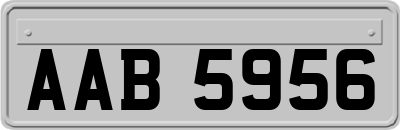 AAB5956