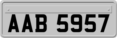 AAB5957