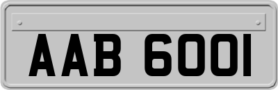 AAB6001