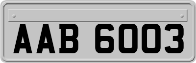 AAB6003