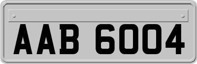 AAB6004