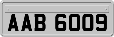 AAB6009