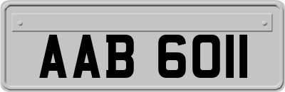 AAB6011