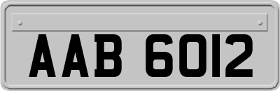 AAB6012