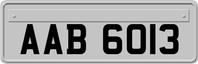 AAB6013