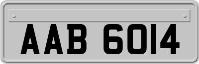 AAB6014