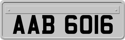 AAB6016