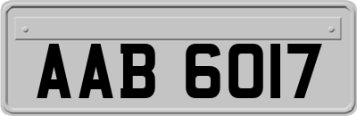 AAB6017