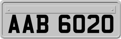 AAB6020