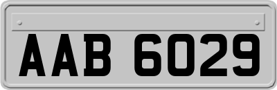 AAB6029