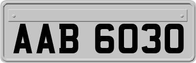 AAB6030