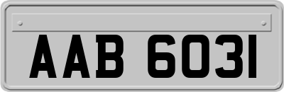 AAB6031