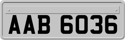 AAB6036